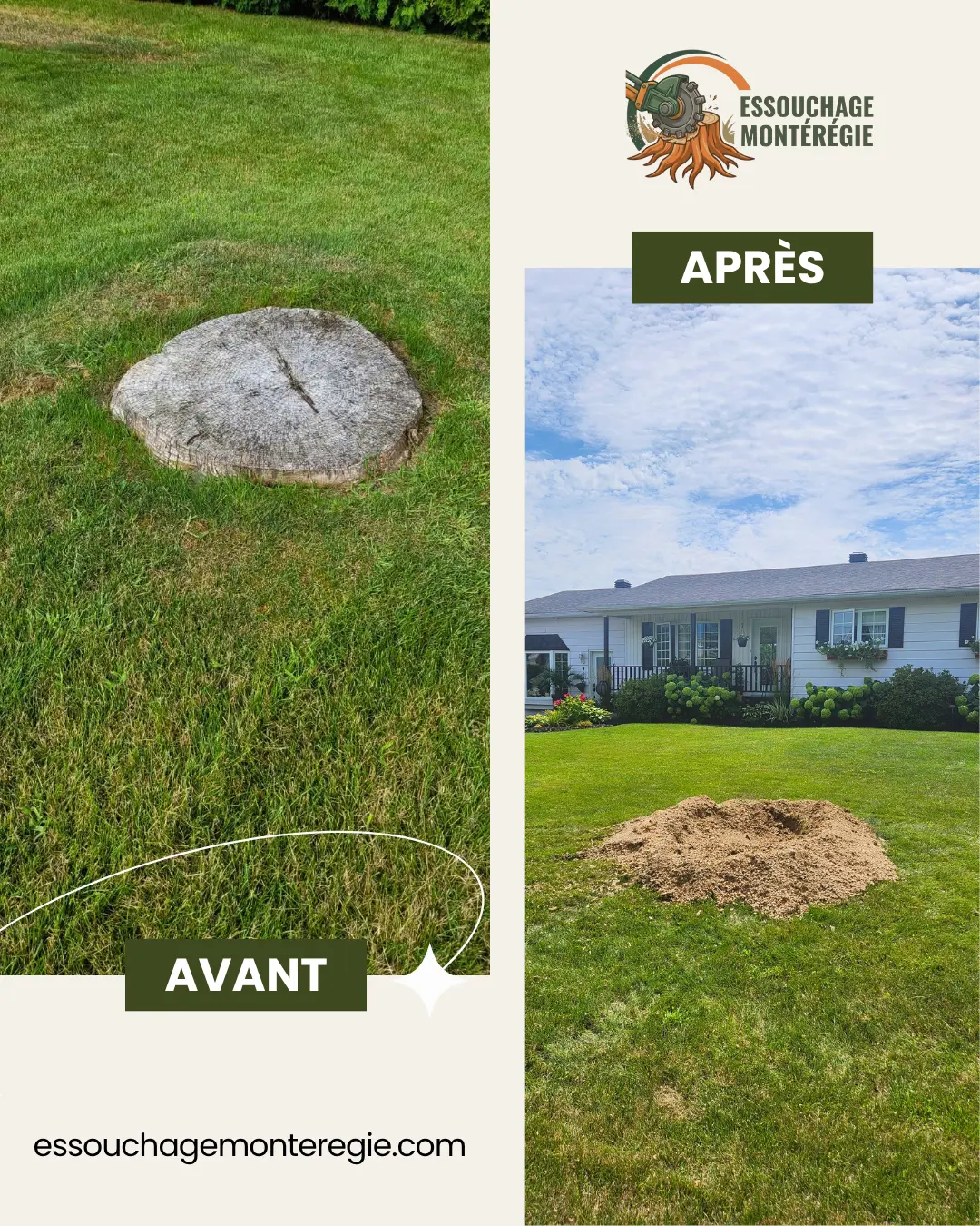 Avant/après : large souche affleurant le gazon, remplacée par un monticule de copeaux laissés sur place après fraisage.